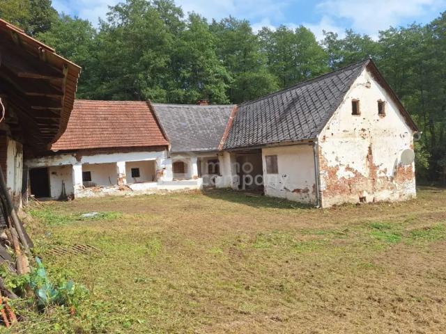 Haus kaufen in Heiligenkreuz im Lafnitztal, Burgenland