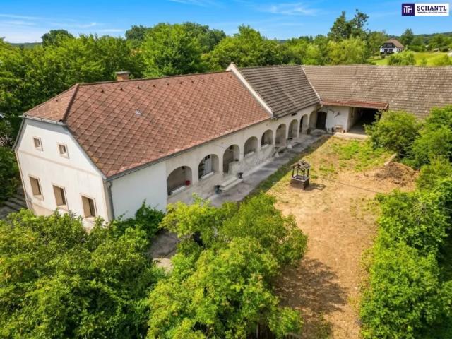 Haus kaufen in Heiligenkreuz im Lafnitztal, Burgenland