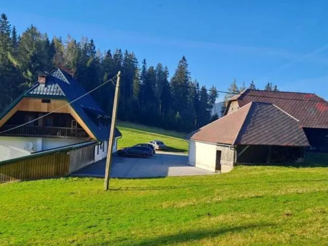 Haus kaufen in Dienten, Salzburg