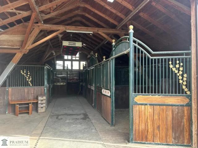 Haus kaufen in Hochneukirchen-Gschaidt, Niederösterreich