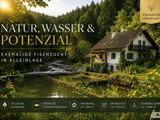 Haus kaufen in Hofamt Priel, Niederösterreich