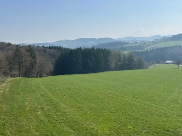 Haus kaufen in Hofstetten-Grünau, Niederösterreich