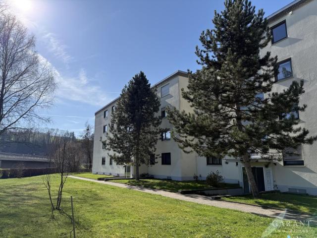 Wohnung kaufen in Wutöschingen, Baden-Württemberg