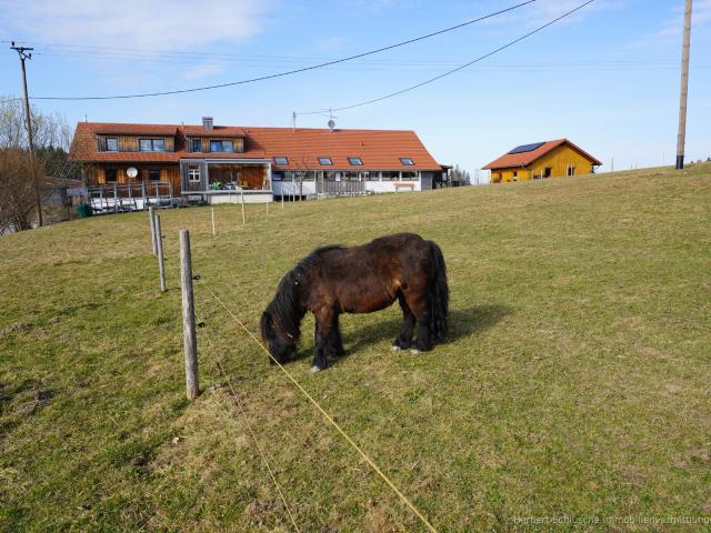 Haus kaufen in Maierhöfen, Bayern