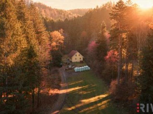 Haus kaufen in Warth, Vorarlberg