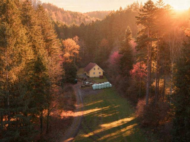 Haus kaufen in Warth, Niederösterreich