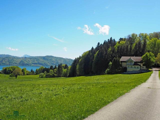 Haus kaufen in Berg im Attergau, Bezirk Vöcklabruck
