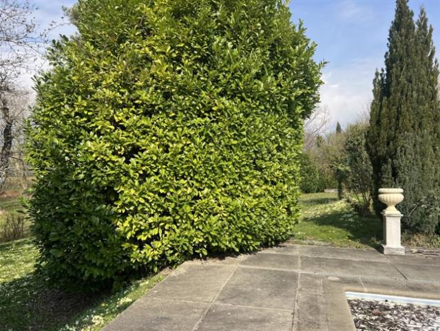 Einfamilienhaus kaufen in Coppet, Waadt