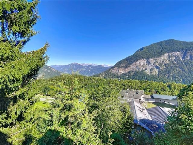 Einfamilienhaus kaufen in Salvan, Wallis