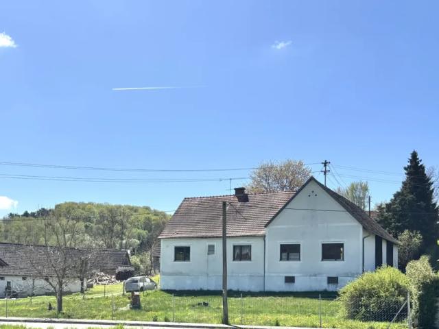 Haus kaufen in Pitten, Niederösterreich