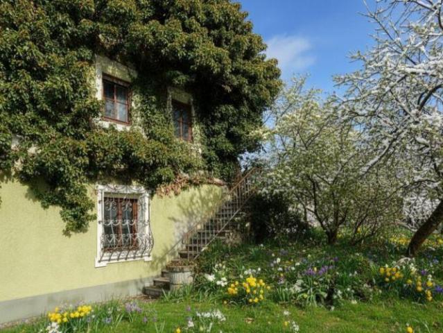 Haus kaufen in Irschen, Kärnten