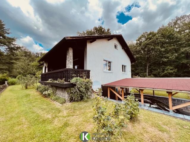 Haus kaufen in Katsdorf, Oberösterreich