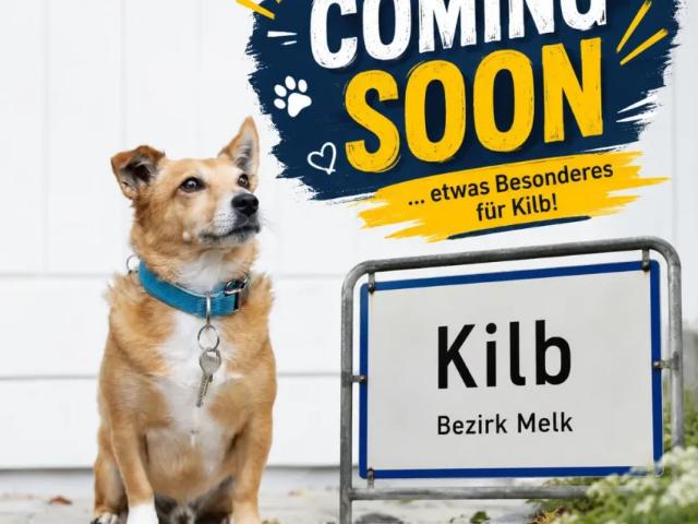 Haus kaufen in Kilb, Niederösterreich