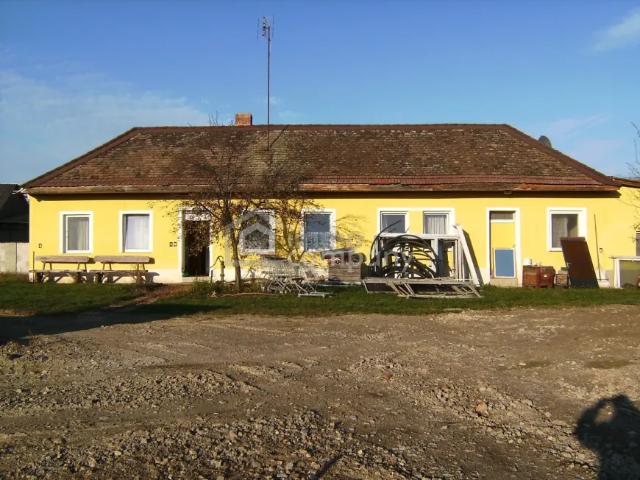 Haus kaufen in Haugsdorf, Niederösterreich