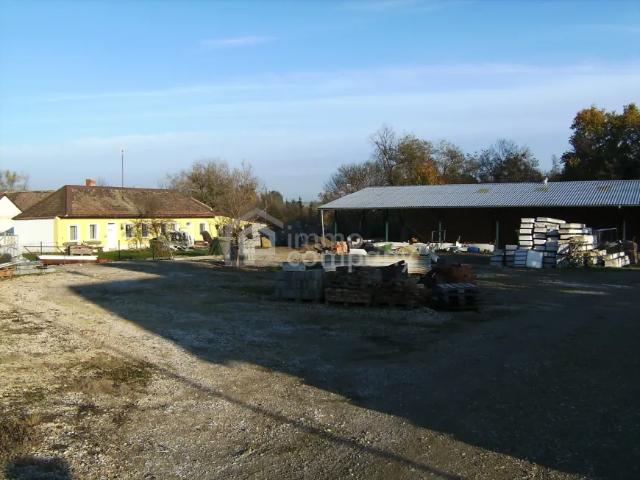Haus kaufen in Haugsdorf, Niederösterreich