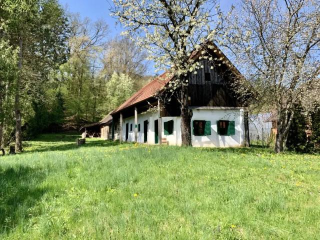 Haus kaufen in Tobaj, Burgenland