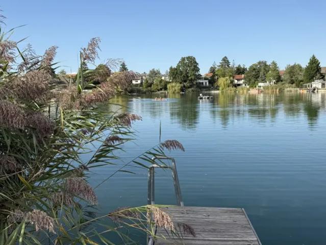 Haus kaufen in Leopoldsdorf im Marchfelde, Niederösterreich