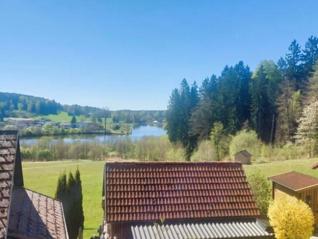 Haus kaufen in Litschau, Niederösterreich