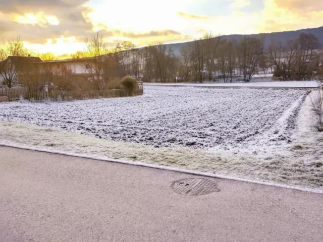 Haus kaufen in Markt Piesting, Niederösterreich