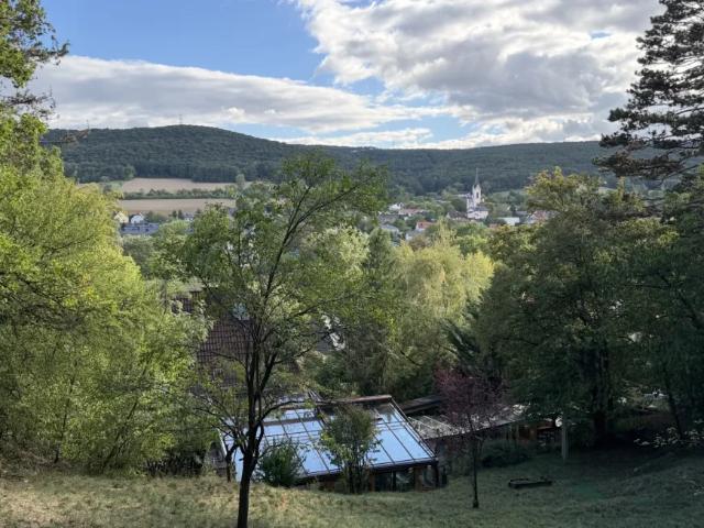 Haus mieten in Markt Piesting, Niederösterreich