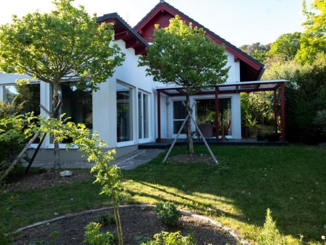 Haus kaufen in Gewerbepark Markt Piesting, Markt Piesting