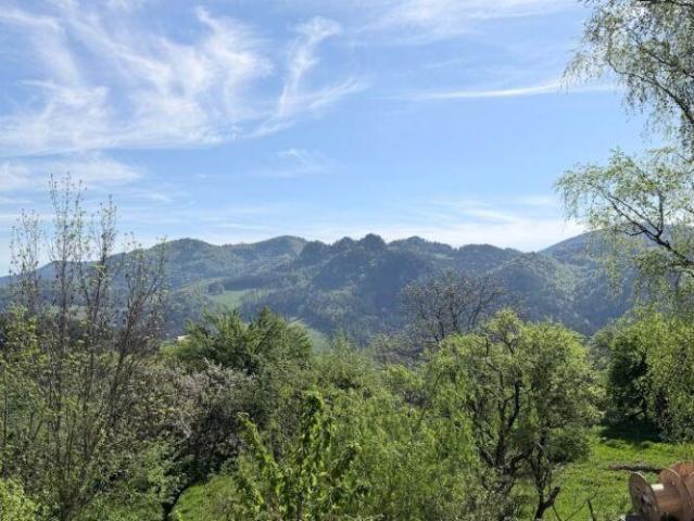 Haus kaufen in Miesenbach, Niederösterreich