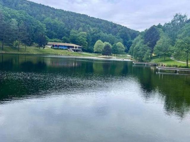 Haus kaufen in Forchtenstein, Burgenland