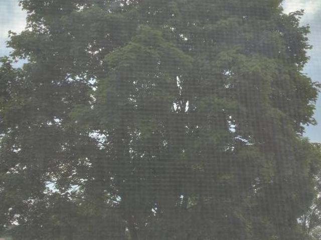 Haus mieten in Magersdorf, Hollabrunn