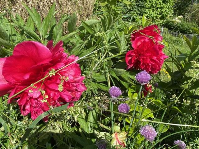 Haus kaufen in KG Leopoldstadt, Wien
