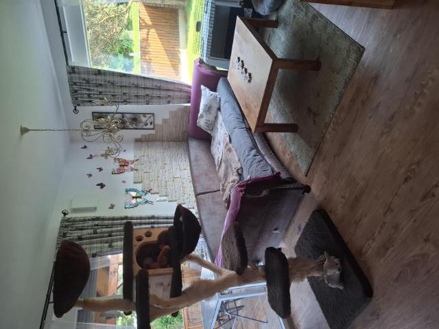 Haus kaufen in Feldbach, Steiermark