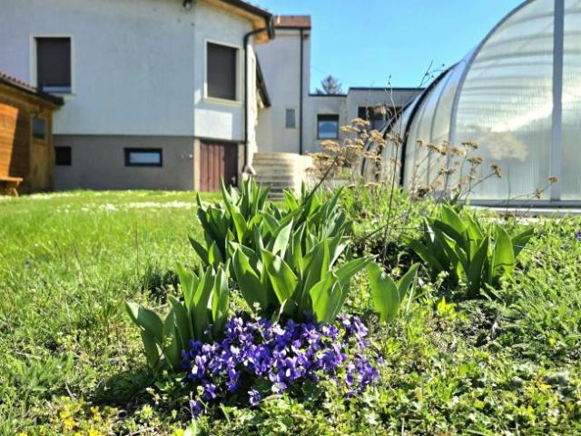 Haus mieten in Hornstein, Burgenland