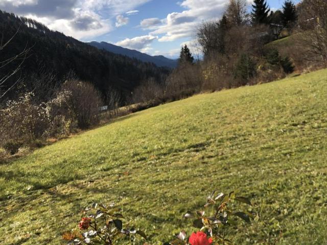 Haus kaufen in Liezen, Steiermark