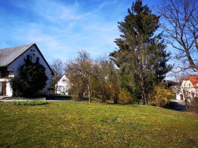 Haus kaufen in Burgenland