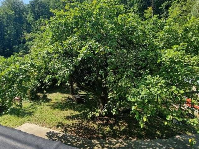 Haus kaufen in Linz, Oberösterreich