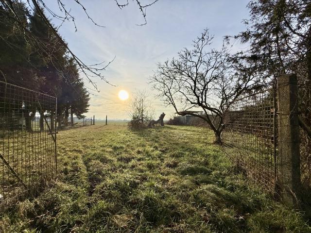 Doppelhaushälfte kaufen in Gransee