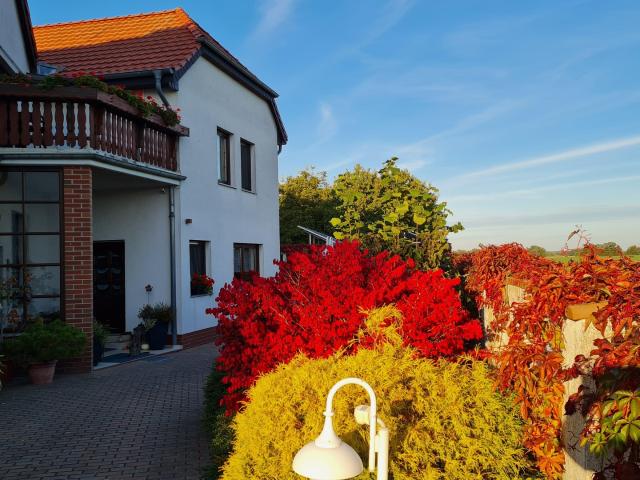 Haus kaufen in Annaburg, Sachsen-Anhalt