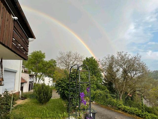 Haus kaufen in Horb (Kernstadt), Horb