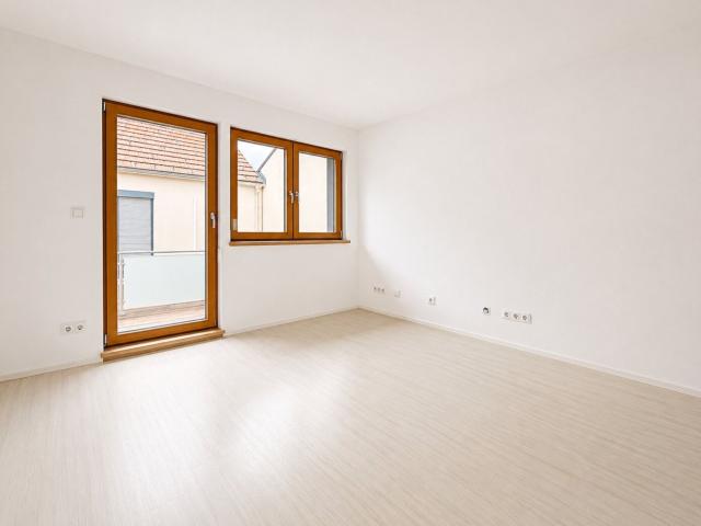 Haus kaufen in Seestadt, Wien