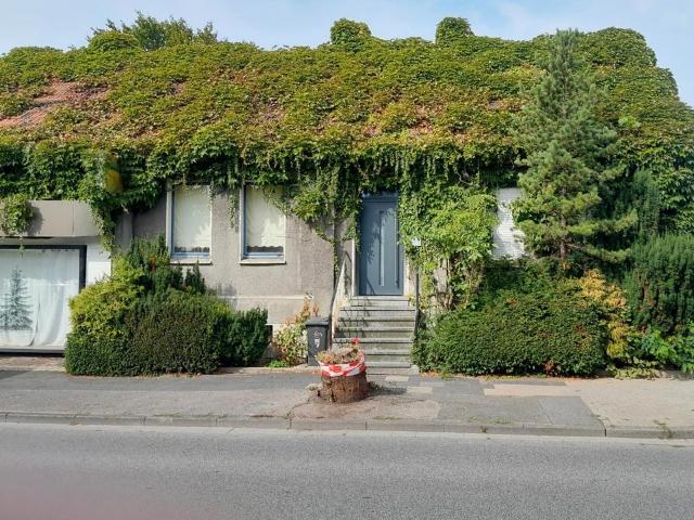 Haus kaufen in König Ludwig, Recklinghausen