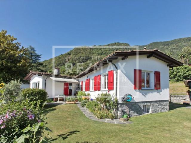 Immobilie kaufen in Losone, Tessin