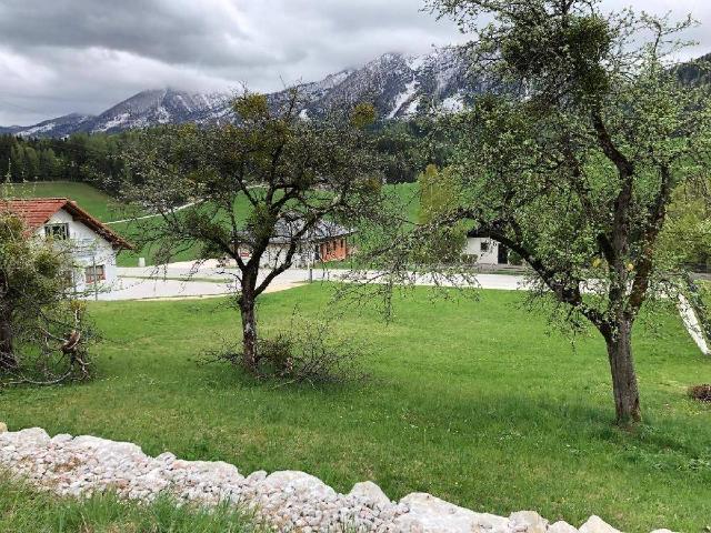 Haus kaufen in Vorderstoder, Oberösterreich