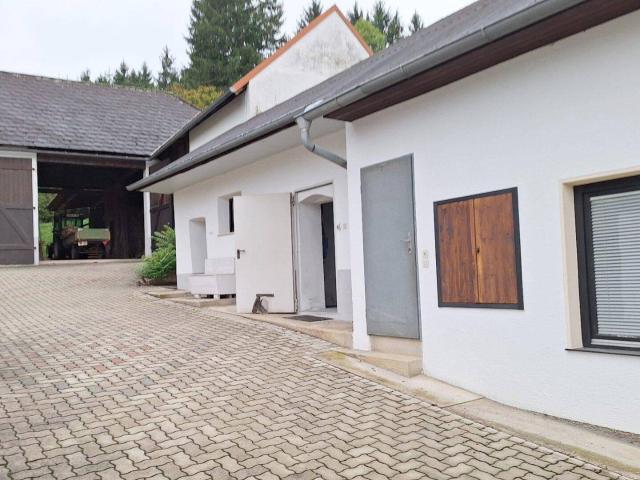 Haus kaufen in Hannersdorf, Burgenland