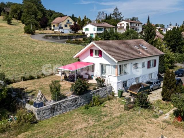 Einfamilienhaus kaufen in Hallwil, Aargau