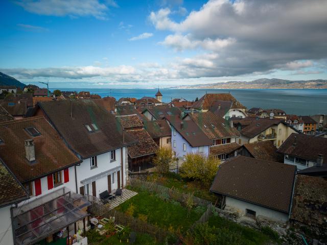 Haus kaufen in Saint-Gingolph, Wallis
