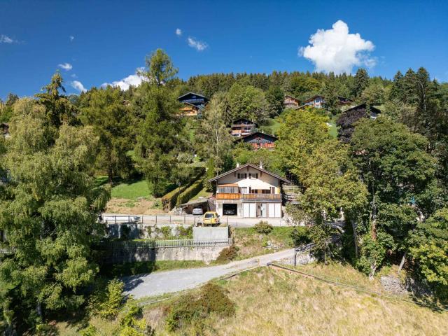 Haus kaufen in Gryon, Waadt