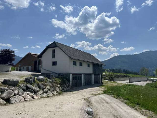 Haus kaufen in Burgauberg-Neudauberg, Burgenland
