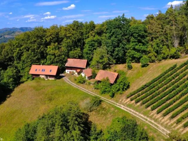Haus kaufen in Gaming, Niederösterreich