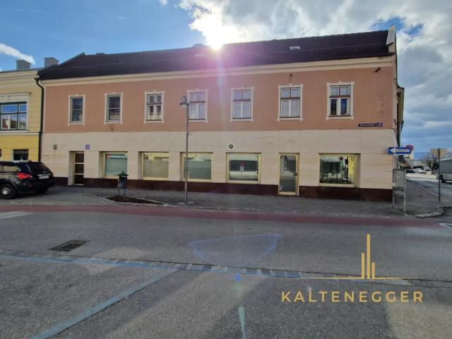 Haus kaufen in Neunkirchen, Niederösterreich