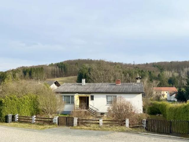 Haus kaufen in Burgenland