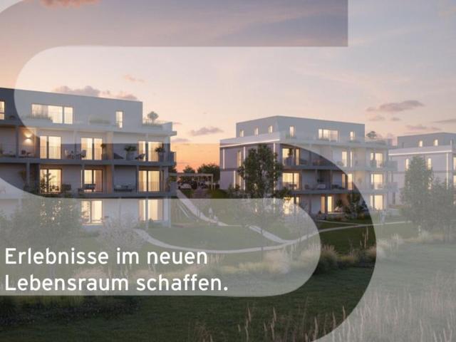Haus kaufen in Amaliendorf-Aalfang, Niederösterreich